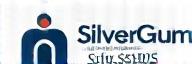 SilverGum Skills Logo
